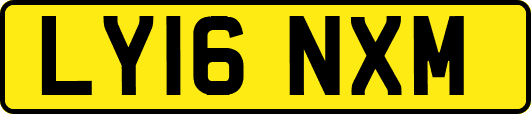 LY16NXM