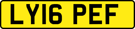 LY16PEF