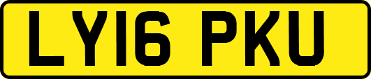 LY16PKU