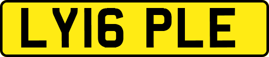 LY16PLE