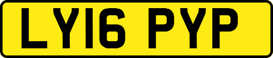 LY16PYP