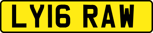 LY16RAW
