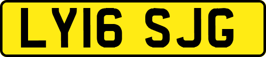LY16SJG