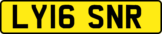 LY16SNR