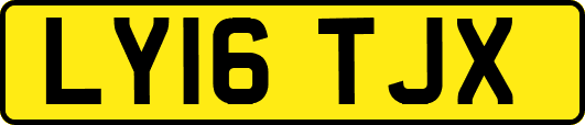 LY16TJX