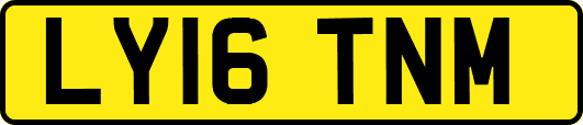 LY16TNM