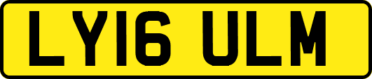 LY16ULM