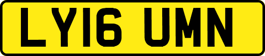 LY16UMN