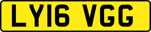 LY16VGG