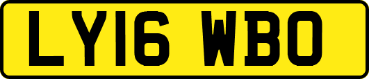LY16WBO