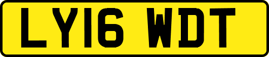 LY16WDT