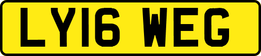 LY16WEG