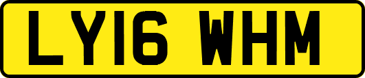 LY16WHM