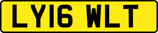 LY16WLT