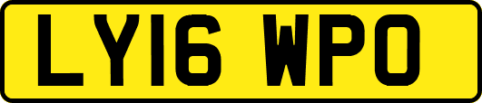 LY16WPO