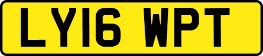 LY16WPT