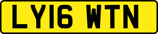 LY16WTN