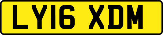 LY16XDM