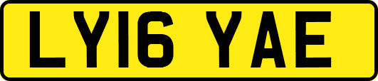 LY16YAE