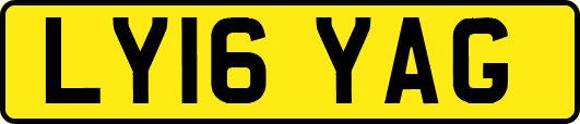 LY16YAG