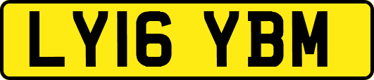 LY16YBM
