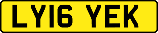 LY16YEK