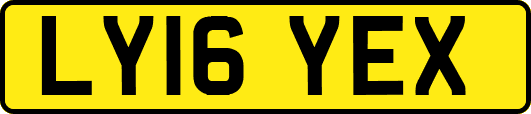 LY16YEX