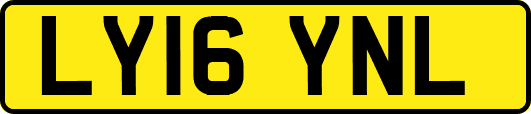 LY16YNL