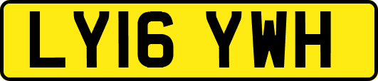 LY16YWH