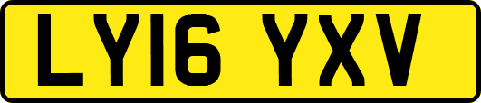 LY16YXV