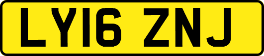 LY16ZNJ