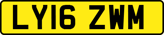 LY16ZWM