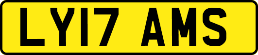 LY17AMS