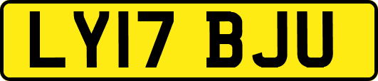 LY17BJU