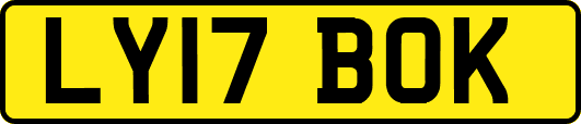 LY17BOK