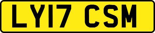 LY17CSM