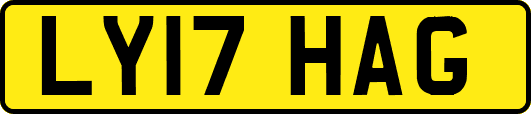 LY17HAG