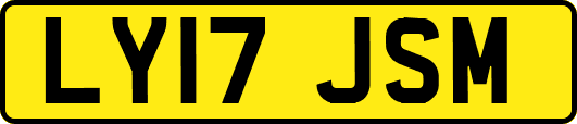 LY17JSM
