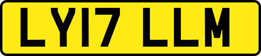 LY17LLM