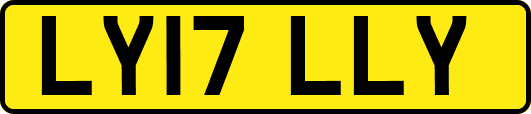 LY17LLY