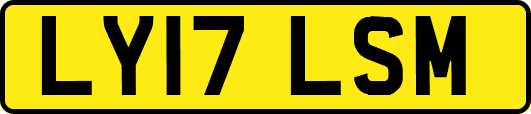 LY17LSM