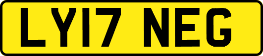 LY17NEG