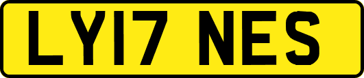 LY17NES