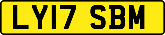 LY17SBM