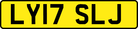 LY17SLJ