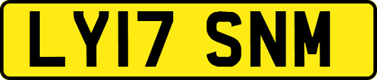LY17SNM
