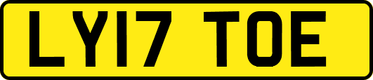 LY17TOE