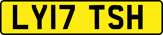 LY17TSH