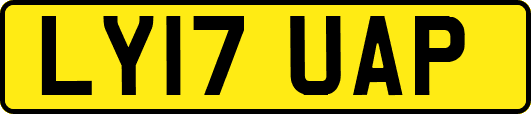 LY17UAP