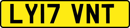 LY17VNT